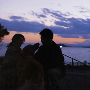 午夜天堂网站在线观看
