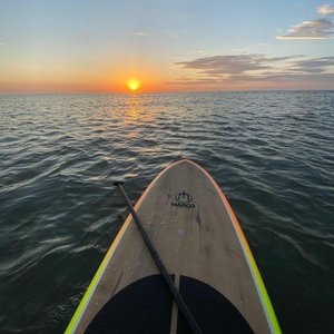 午夜天堂网站在线观看
