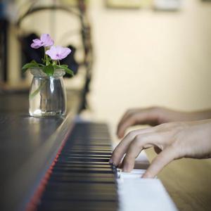 午夜天堂网站在线观看
